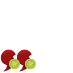 Social South