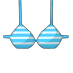 brassiere