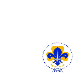 I am Scouts