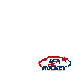 usa hockey