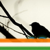 aritra_m
