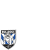 Bankstown Bulldogs