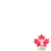 Canada @ 2010 Olympics