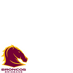 Brisbane Broncos
