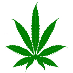 Legalize