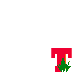 T in the Park