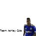 Support Team Ashley Cole