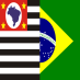 Paulista e Brasileiro de S2