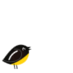 Turpial