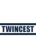 Twincest