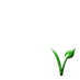Veganism