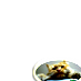 Vote for ElmertheCat
