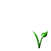 govegan_right