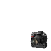 Nikon Photographers