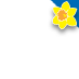 Great Daffodil Appeal