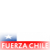 Fuerza Chile 2010