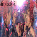 TVXQ always keep the faith