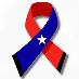 CHILE FUERZA Y COMPROMISO