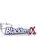 www.blackberryos.com