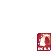 Ruby on Rails