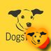 dogstrust