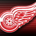 DetroitRedWings