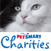 Save Homeless Pets