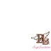 Bailey Baio Angel Foundation