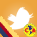 raul_america