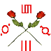 Support 30 Seconds to Mars