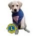 leaderdoglogan