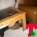 jrmc_