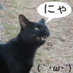 catlikerobot