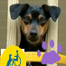 SpoiledMinPin