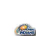 Support Mumbai Indians