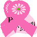 pinkdaisygirls