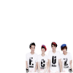 F. Cuz