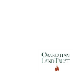 Orangutan Land Trust