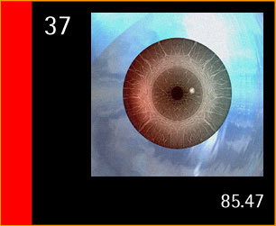 Numero37