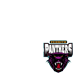 Penrith Panthers