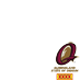 State of Origin - Maroons