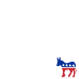 US Democratic Party