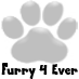 Furry 4 Ever