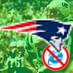 patriotfan