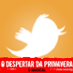 bolinho_