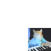 Play Him Off, Keyboard Cat