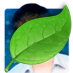 e81