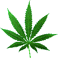Free the Weed
