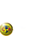 Club America