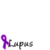 Lupus Research